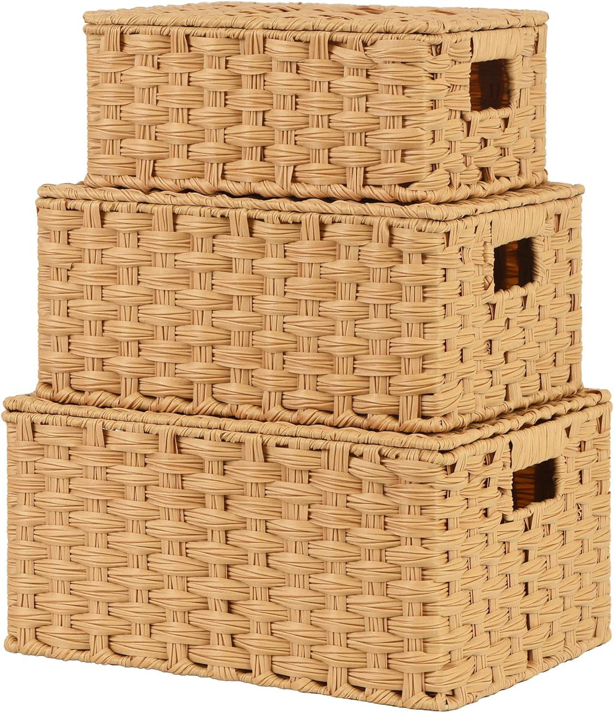 Three-Piece Lidded Woven Storage Basket Set-3-Piece Set