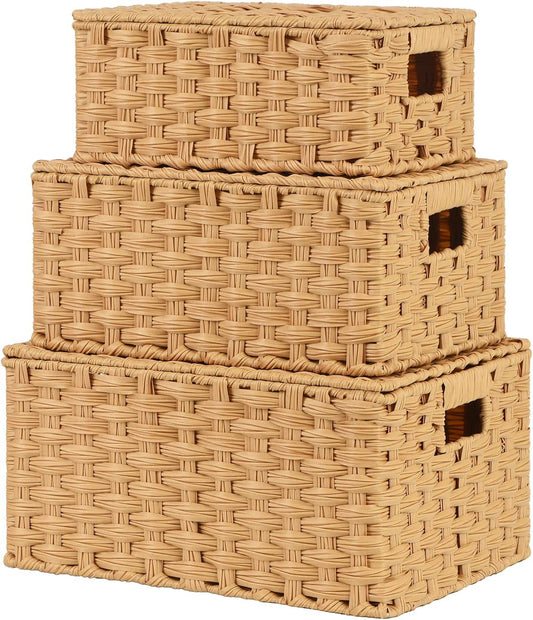 Three-Piece Lidded Woven Storage Basket Set-3-Piece Set